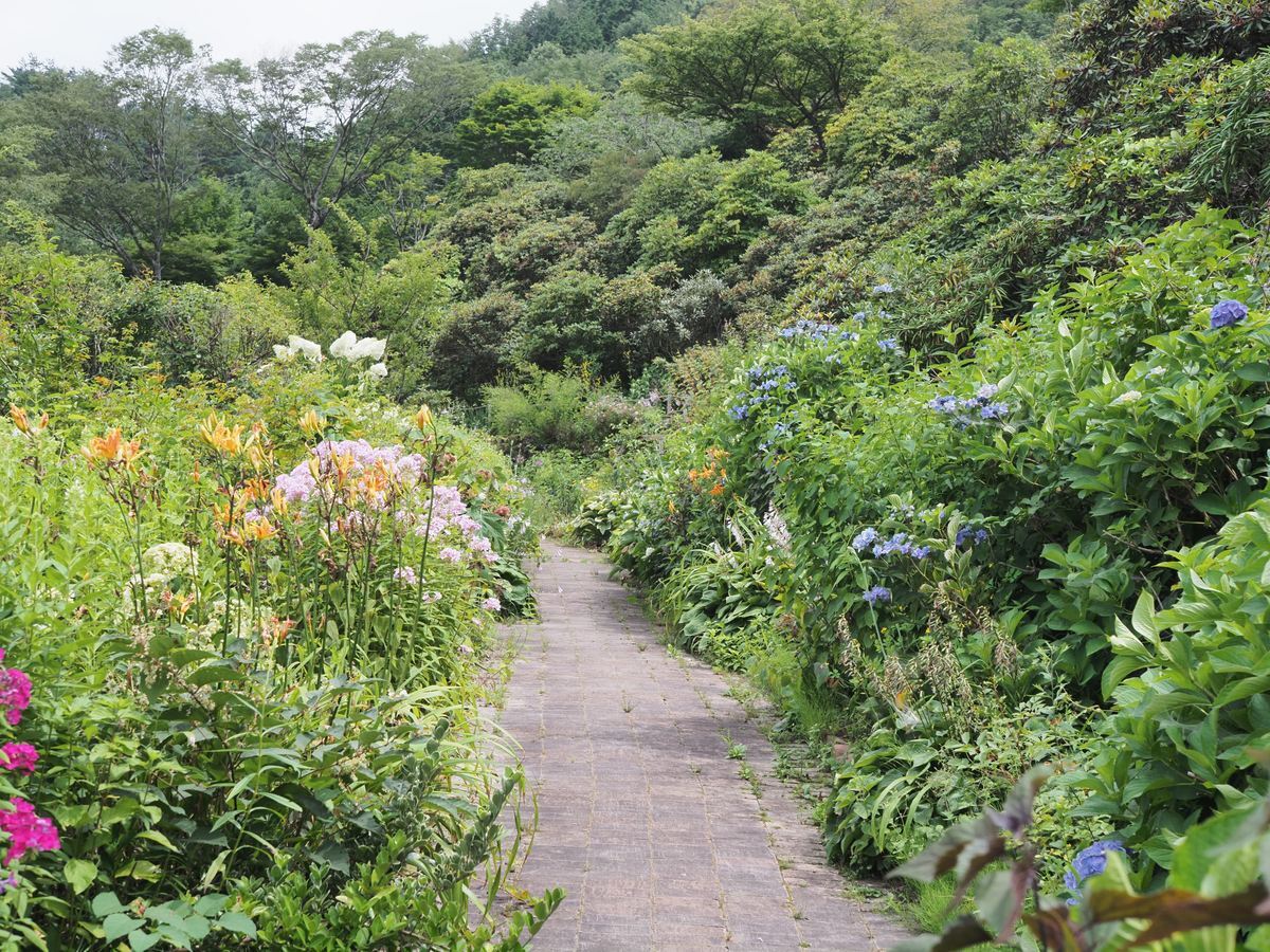 泉ボタニカルガーデン 泉緑化ウェブサイト トップページ